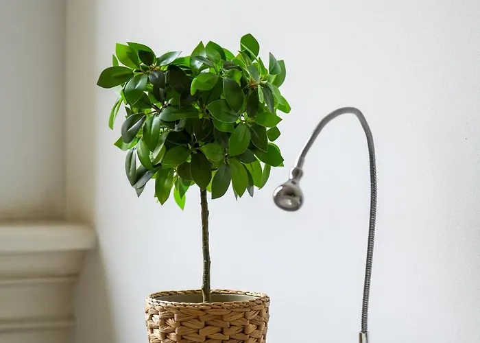 Gæstehus Penthouse Dam Square *