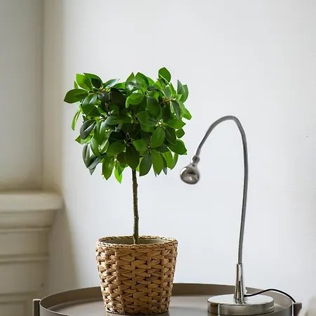 Guest house Penthouse Dam Square *